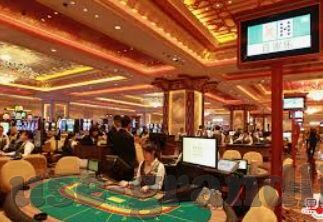 森林舞会兑换现金-森林舞会，从自然中汲取灵感，兑换现金的新路径